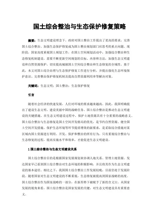 国土综合整治与生态保护修复策略