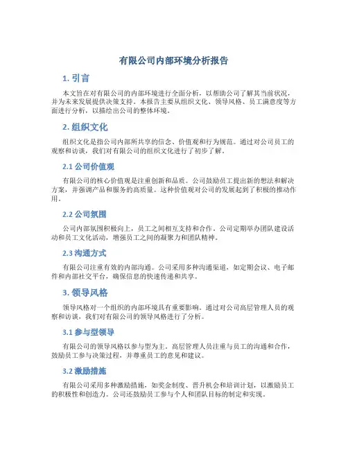 有限公司内部环境分析报告