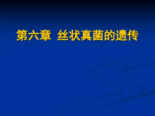 微生物遗传学第六章 丝状真菌的遗传1