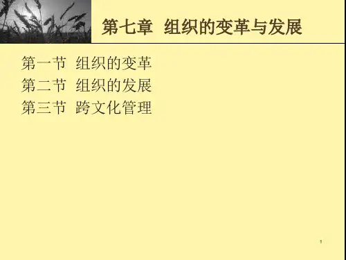组织行为学(第七章组织的变革与发展)