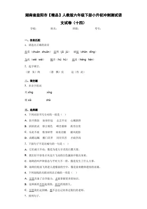 人教版六年级下册小升初冲刺测试语文试卷(十四) B(含答案解析)