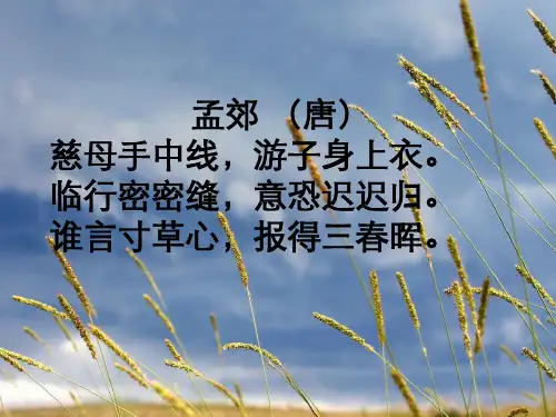 《慈母情深》完美版