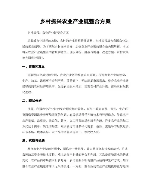 乡村振兴农业产业链整合方案