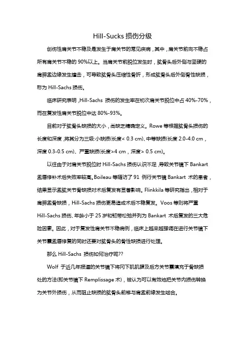 Hill-Sucks损伤分级