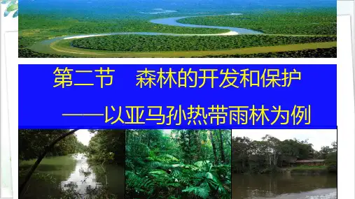 森林的开发与保护(32页幻灯片)-PPT优秀课件