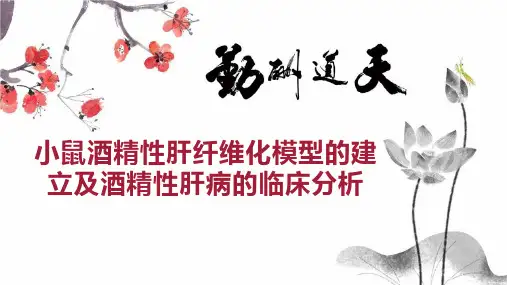小鼠酒精性肝纤维化模型的建立及酒精性肝病的临床分析