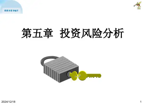 投资风险分析ppt课件