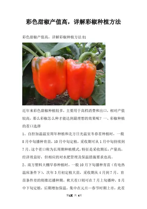 彩色甜椒产值高，详解彩椒种植方法