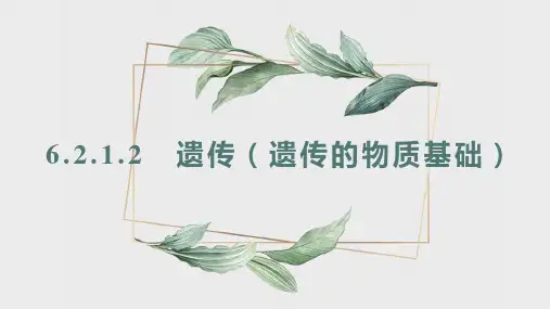 遗传(遗传的物质基础) 课件 初中生物冀少版八年级下册(2022年)