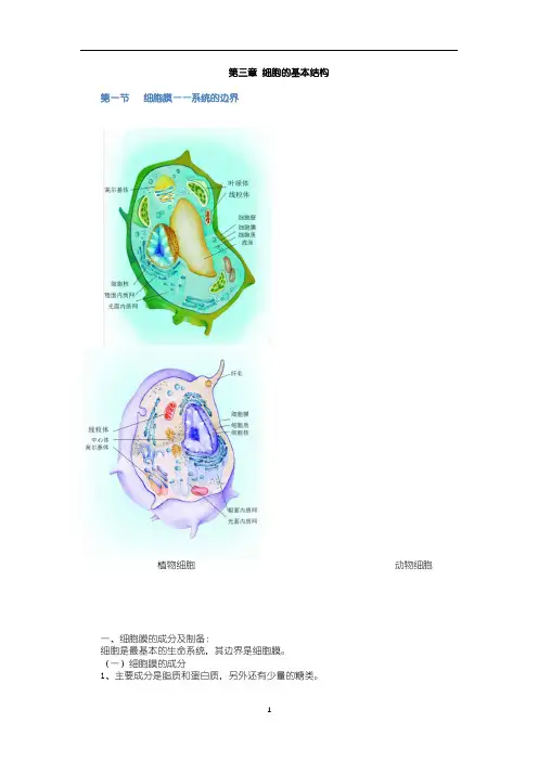 高中生物 人教版必修一第三章 细胞的基本结构  知识总结