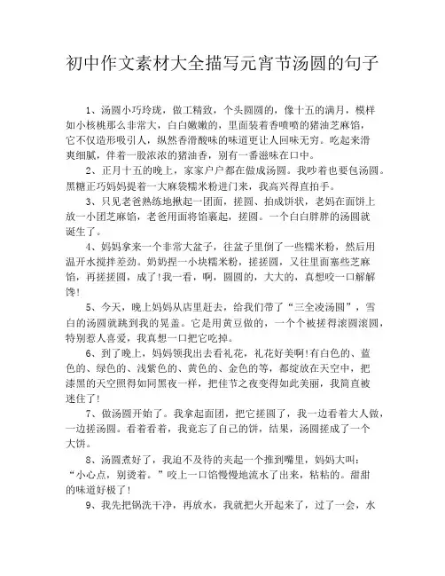 初中作文素材大全描写元宵节汤圆的句子
