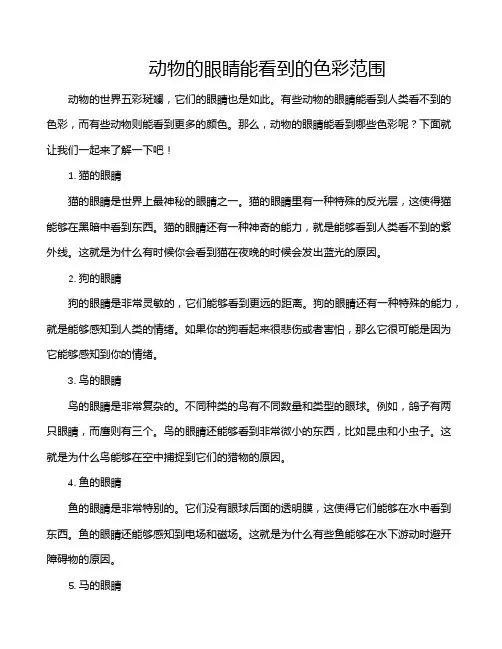 动物的眼睛能看到的色彩范围