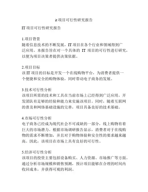 it项目可行性研究报告