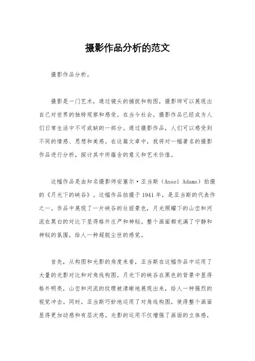 摄影作品分析的范文