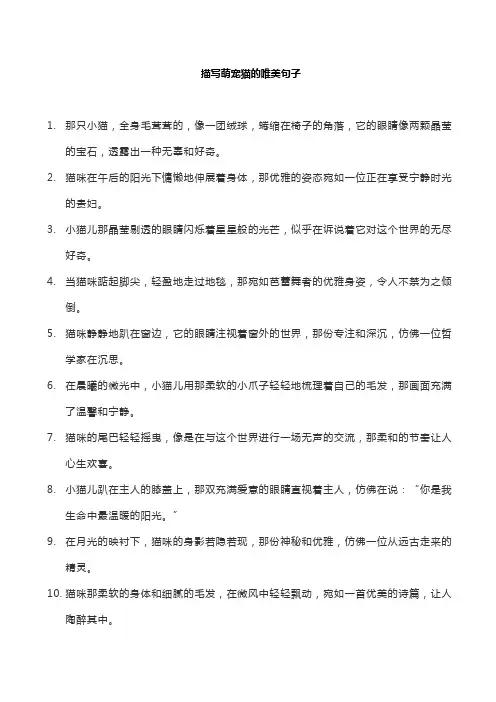 描写萌宠猫的唯美句子