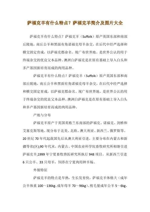 萨福克羊有什么特点？萨福克羊简介及图片大全