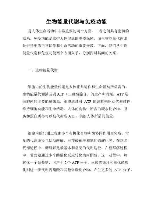 生物能量代谢与免疫功能