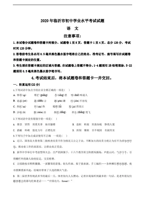 2020年山东省临沂市中考语文试题(学生版)