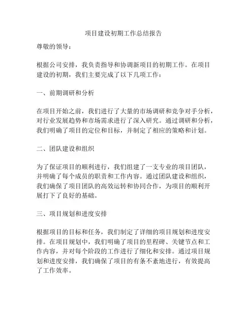 项目建设初期工作总结报告