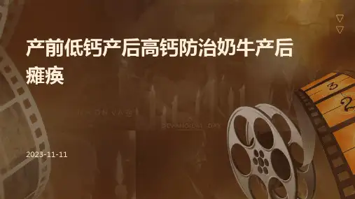 产前低钙产后高钙防治奶牛产后瘫痪
