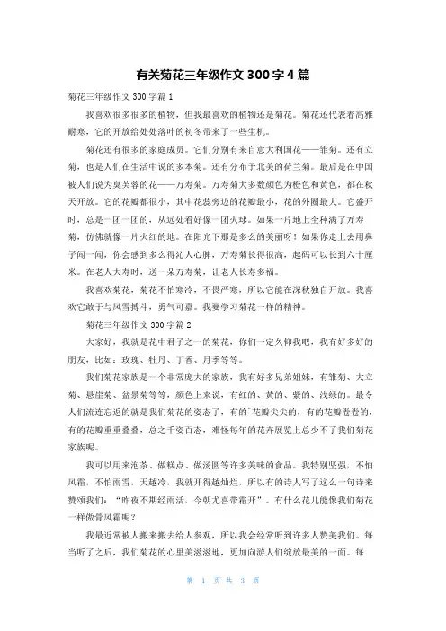 有关菊花三年级作文300字4篇