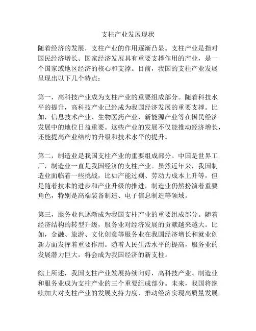 支柱产业发展现状