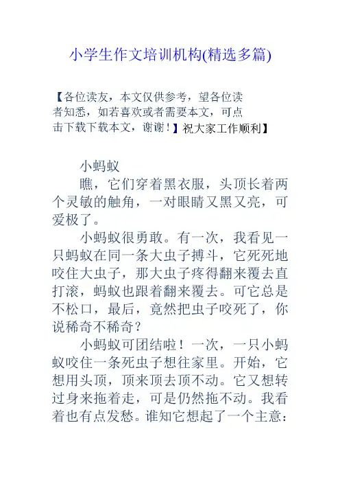 小学生作文培训机构(精选多篇)电子教案