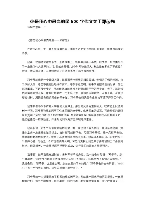 你是我心中最亮的星600字作文关于邓稼先