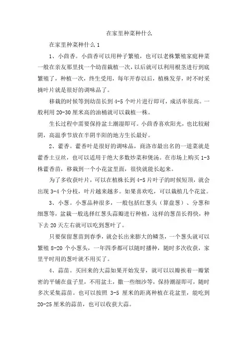 在家里种菜种什么