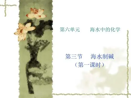 化学：6.3《海水“制盐”》课件(鲁教版九年级)