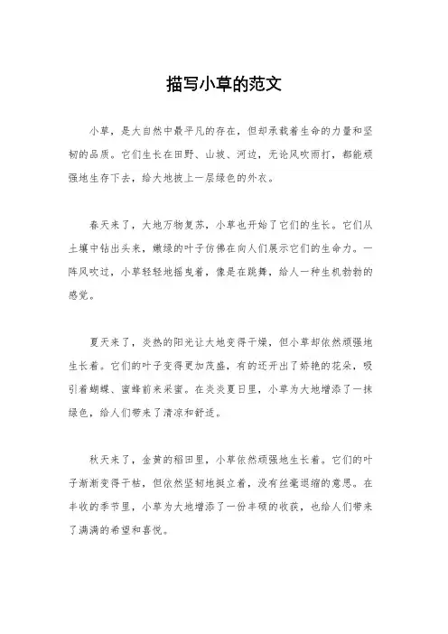 描写小草的范文