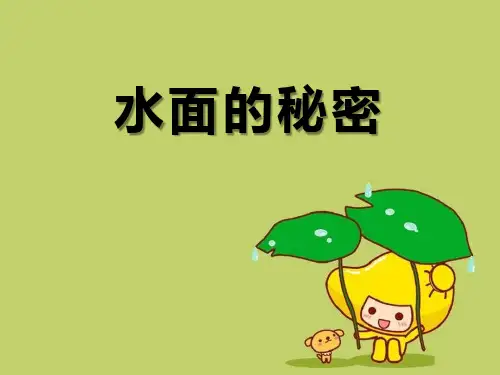 《水面的秘密》PPT精品 课件 