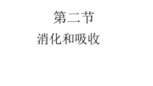 4.2.2 消化与吸收 课件(共23张PPT)人教版七年级生物下册