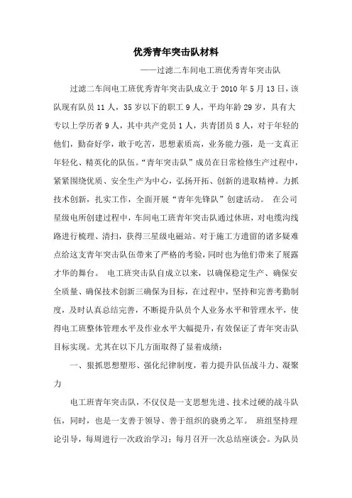 优秀青年突击队材料