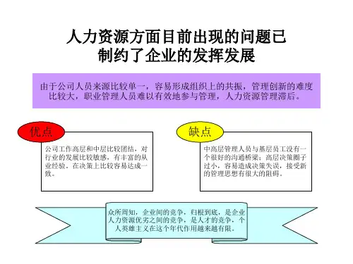某公司人力资源管理咨询方案