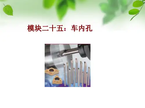 模块二十五车内孔