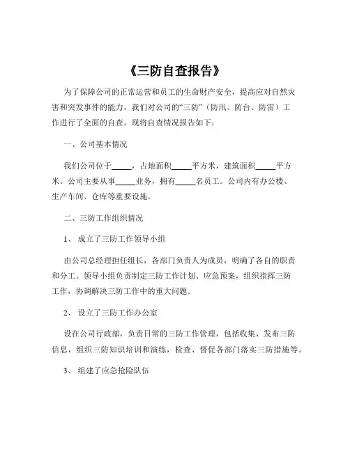 《三防自查报告》
