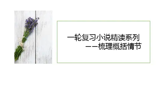高考专题复习：小说精读系列之梳理情节课件