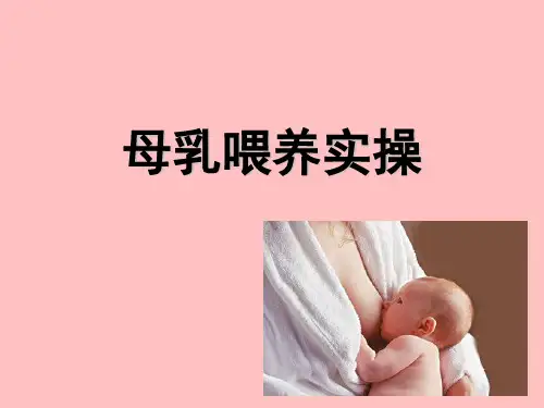 母乳喂养实操ppt课件