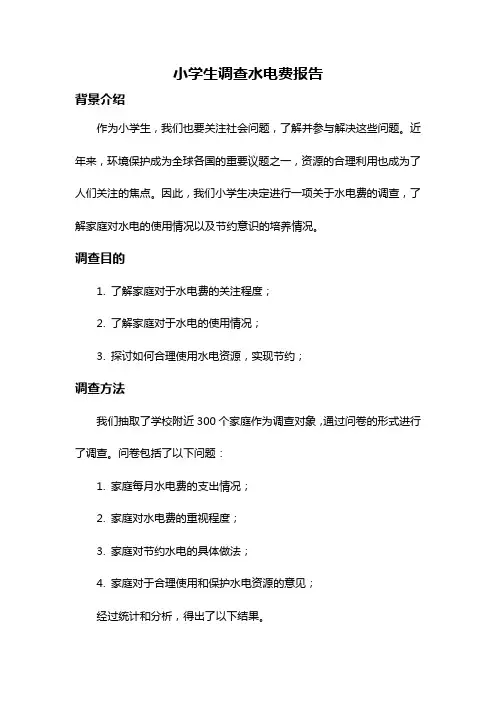 小学生调查水电费报告