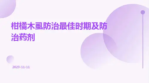 柑橘木虱防治最佳时期柑橘木虱防治药剂