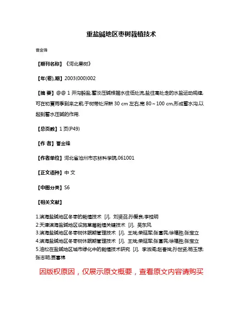 重盐碱地区枣树栽植技术
