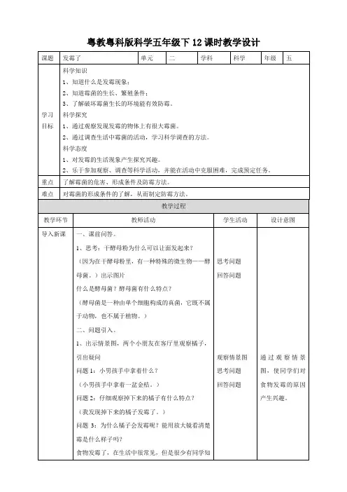 2.12《发霉了》（26张PPT）教案