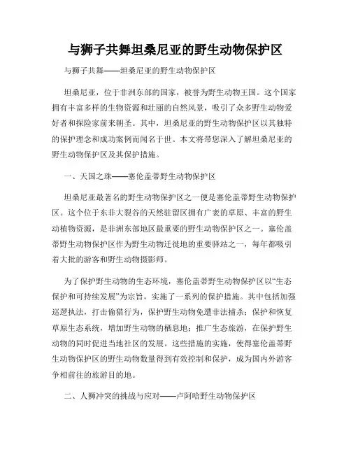 与狮子共舞坦桑尼亚的野生动物保护区