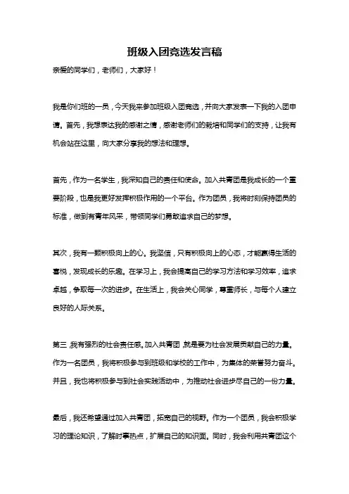 班级入团竞选发言稿