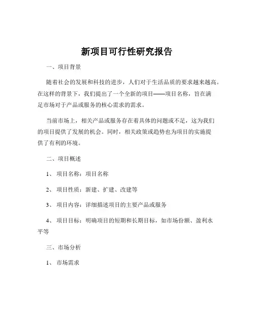 新项目可行性研究报告