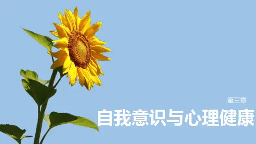自我意识与心理健康ppt课件