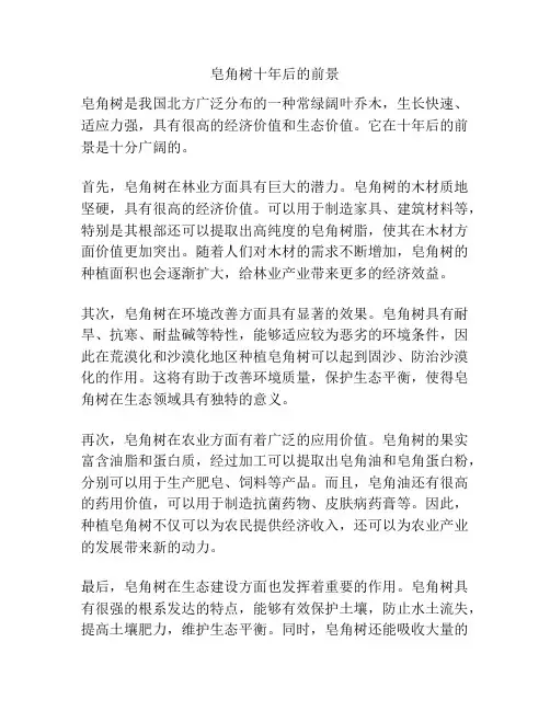 皂角树十年后的前景