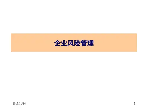企业风险管理课件