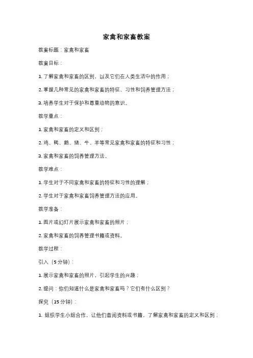 家禽和家畜教案